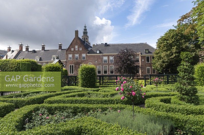 Groningen, Niederlande. Prinsenhoftuin / Prinsentuin (Prinzengärten). Formelle Renaissancegärten im Stadtzentrum. Rosengärten. 