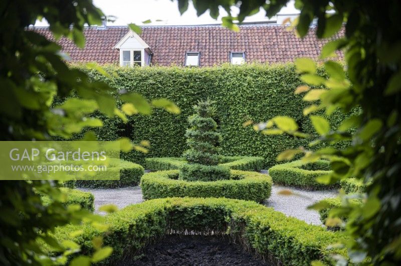 Groningen, Niederlande. Prinsenhoftuin / Prinsentuin (Prinzengärten). Formelle Renaissancegärten im Stadtzentrum. Der Gartenbereich ist von einem sogenannten Berceau umgeben, einer tunnelartigen Hecke aus Buchenholz. 