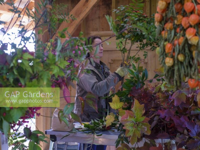 Die auf Laubfloristik spezialisierte Zanna Hoskins verwendet Herbstfrüchte und Blätter aus ihrem Garten für saisonale Arrangements. November, Herbst, Dorset, Großbritannien. 