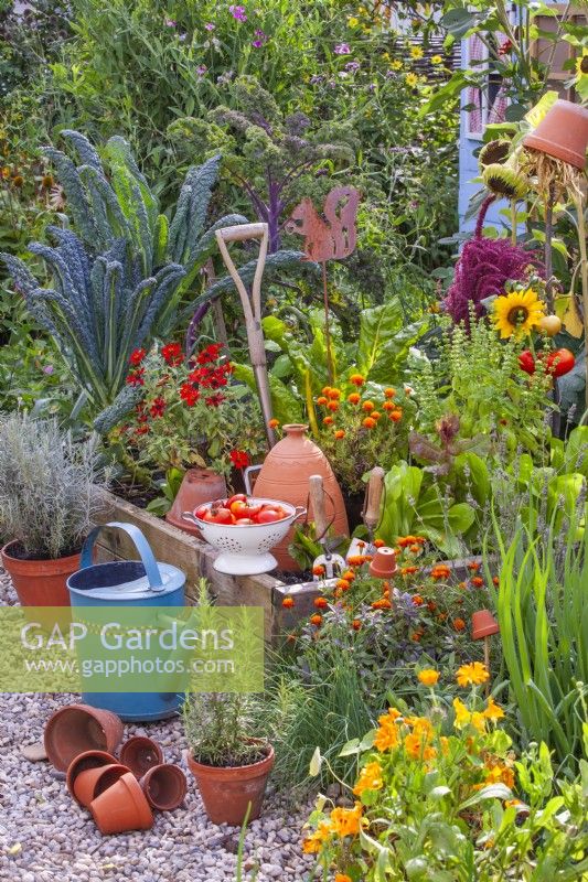 Ausgestellte Gartengeräte und ein Sieb mit gepflückten Tomaten am Rand eines Hochbeets voller Gemüse, Kräuter und einjähriger Blumen. 
