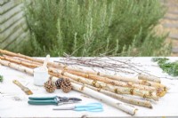 Birkenzweige, Tannenzapfen, Schnur, Schere, Gartenschere, weiße Farbe und ein Pinsel auf einem Tisch ausgelegt