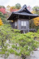 Jibutsu-do-Schrein mit Kiefern und Ahornbäumen in Herbstfärbung.