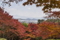 Herbstliche Farben in überwiegend Acer-Bäumen. Blick aus dem Garten über Arishiyama bis zu den fernen Bergen.