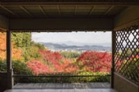Blick über die herbstlich gefärbten Acers auf Arashiyama und die fernen Berge, eingerahmt von einem Holzgebäude.