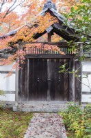 Hölzernes Tor und gefliester Bogen in der Gartenmauer mit Acer in Herbstfarbe und gefallenen Blättern auf dem Weg.