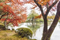 Blick über den Kasumigaike-Teich, umrahmt von herbstlich gefärbten Bäumen. 