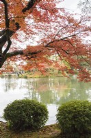 Blick über den Kasumigaike-Teich, umrahmt von herbstlich gefärbten Bäumen. 