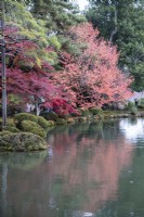 Bäume mit Herbstfärbung spiegeln sich im Wasser des Kasumigaike-Teichs. 