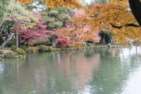 Bäume mit Herbstfärbung spiegeln sich im Wasser des Kasumigaike-Teichs. Regen spritzt auf die Teichoberfläche. 