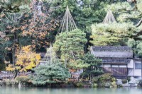 Blick über den Teich auf das Teehausgebäude und auf mehrere Bäume mit Wigwams aus Bambus und Seilen zum Schutz vor Schneeschäden namens Yukitsuri. 