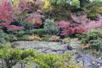 Weiter Blick in den Garten mit immergrünen Pflanzen und mehreren Bäumen und Sträuchern mit Herbstfärbung. 