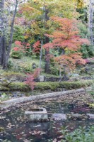 Weiter Blick in den Garten über einen Teich mit Trittsteinen; mehrere Bäume und Sträucher mit Herbstfärbung. 