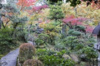 Weiter Blick in den Garten über einen Teich mit immergrünen Pflanzen und mehreren Bäumen und Sträuchern in Herbstfärbung. 