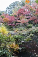 Weiter Blick in den Garten über einen Teich mit immergrünen Pflanzen und mehreren Bäumen und Sträuchern in Herbstfärbung. 
