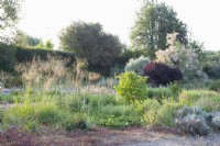 Kiesgarten mit Tamarix, Cotinus coggygria Royal Purple und Pyrus salicifolia Pendula 